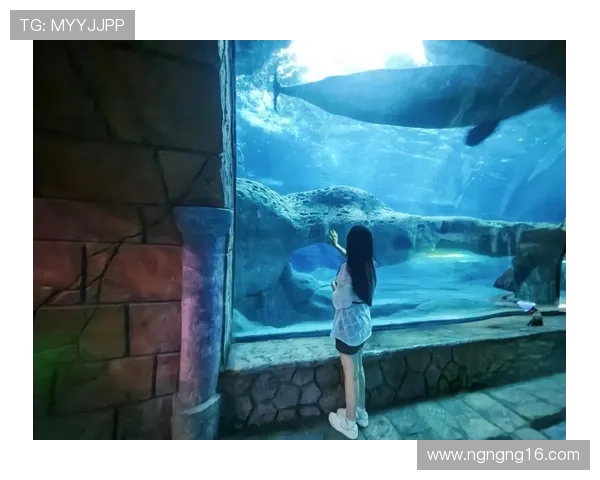 爱鱼直播:畅游水族世界的精彩每一刻